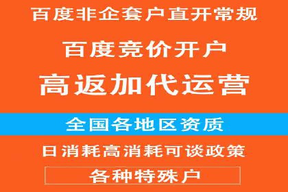 百度推广排名案例解读：旅游行业如何运用其扩大影响力